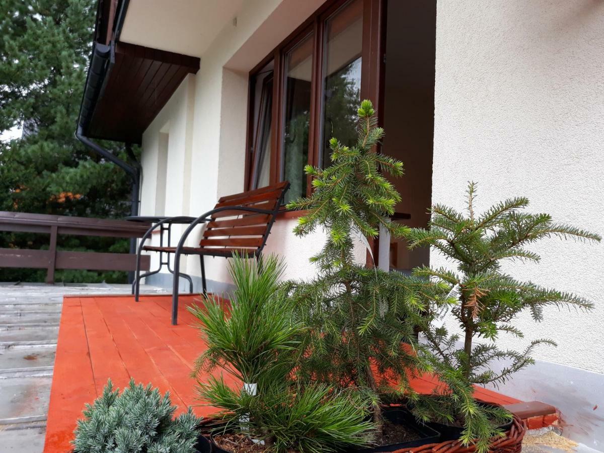 Ferienwohnung willa sichla murzasichle Exterior foto